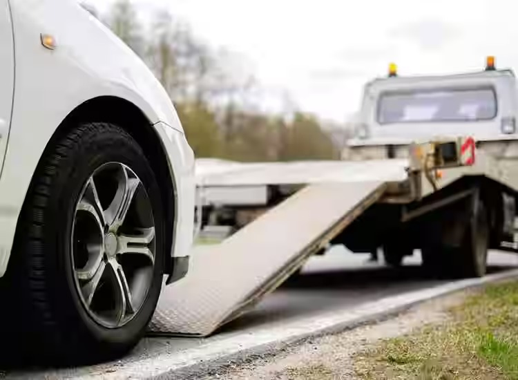 Vehicle Logistics Excellence